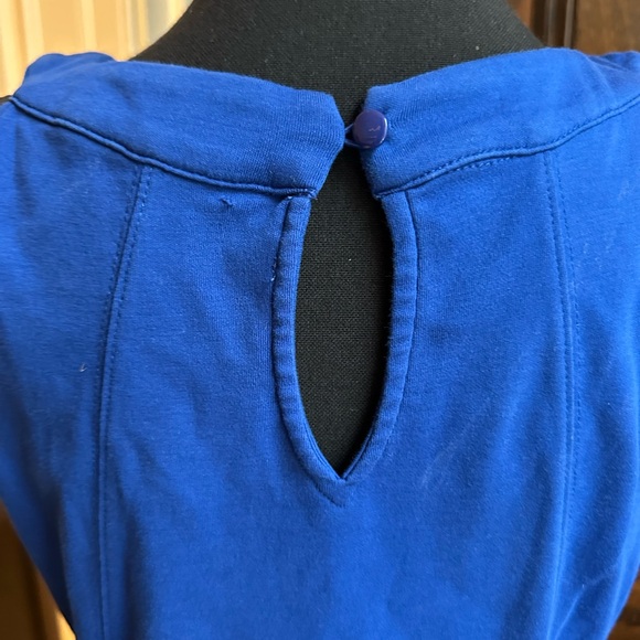 Royal Blue New York & Company Cut Out Cotton Sheath Dress - Picture 6 of 7